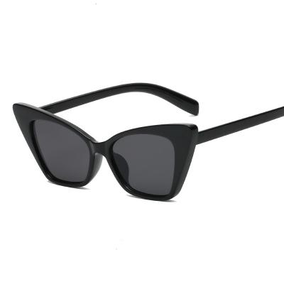 China Fashion sunglasses 2021 top fashion sunglasses with PC material for sale