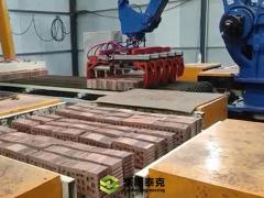 Automated Brick Packaging Machine Clay Brick Making Machine Compatible with Hoffman/Tunnel Kiln