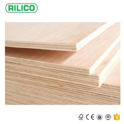 China Furniture Decoration 19mm Vietnam Thick Plywood Price for sale