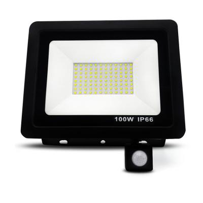 China Outdoor Waterproof Garden 100W LED PIR Motion Sensor Floodlight Flood Lamp Flood Light for sale