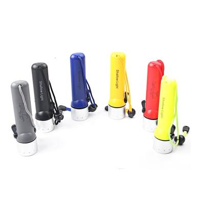 China Convenient Waterproof LED Diver Flashlight Underwater Instant Light Portable Torch for sale