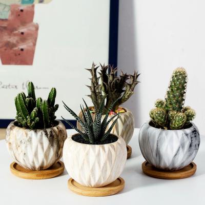 China Modern Wholesale Marble Outdoor Garden Planter Style Small Flower Pots With Succulent for sale