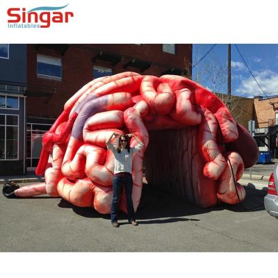 China Custom Commercial Oxford Cloth Inflatables, Inflatable Medical Brain Props, Inflatable Brain Model for sale