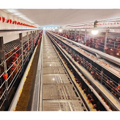 China Easily Install Battery Combination Cage System Stainless Steel Poultry Layer Chicken Cages Sales In Ethiopia for sale