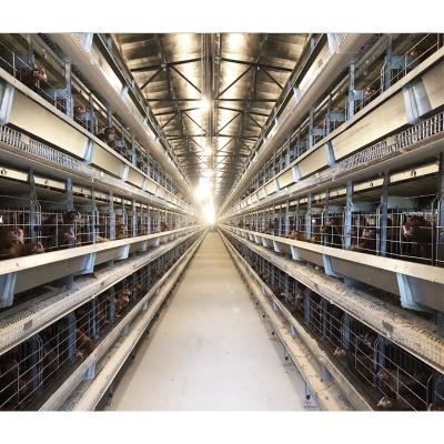 China Easily Install Stainless Automatic Layer Cage System Price Battery Cages Chicken In Ghana for sale