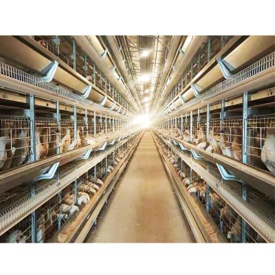 China Easily Install Poultry Breeder Chicken Cage Layer In Philippines for sale