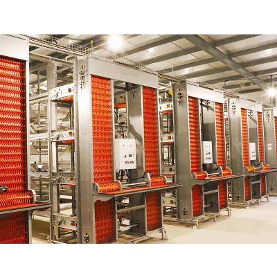 China Easily Install Poultry Equipment Farming Chicken Layer Cage In Tunisia for sale