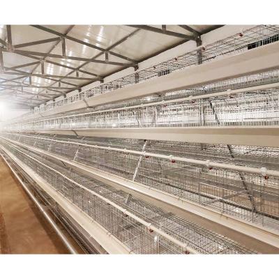 China Farms Advanced Farm Equipment A TYPE 120 Layers Chicken Cage For Sale In Nigeria zu verkaufen