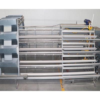 China Easily Install Advanced Poultry Farming Equipment 3 Tiers One Layers Type Chicken Cage zu verkaufen