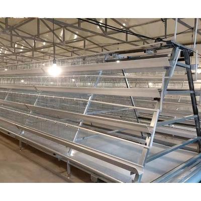 China Africa Farms California Chicken Cage A Type H Animal Husbandry Equipment For Poultry Te koop