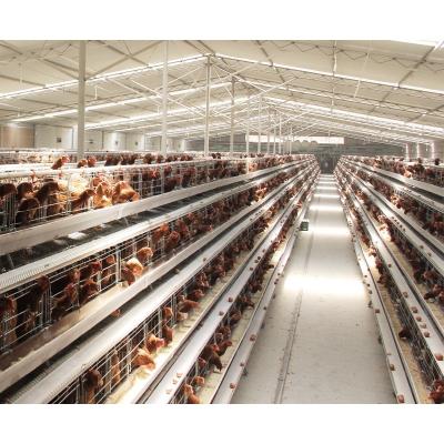 China Easily Install Battery Stainless Steel Poultry Equipment Farming Chicken Cage Layer Cages Te koop