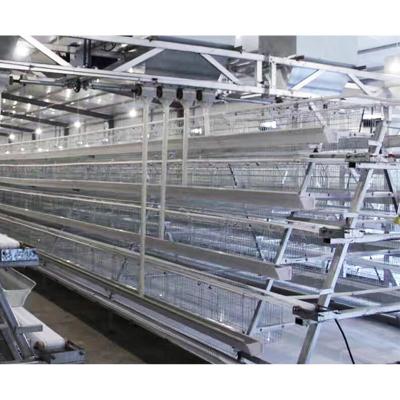 China Easily Install Stainless Steel Battery Chicken Layer Poultry Cages In Senegal for sale