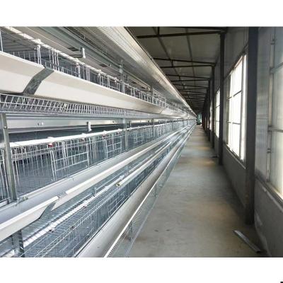 China Easily Install Stainless Steel A Farm Type Battery Cages System Small Cage For Chickens Te koop