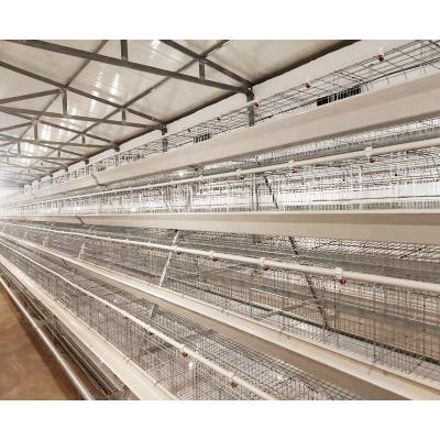 China Easily install poultry chicken breeding h type battery cage in pakistan for sale