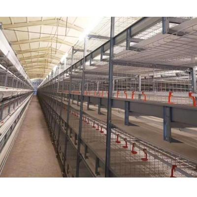 China Easily Install Automatic Battery Broiler Cage System Chicken Cages For Poultry for sale