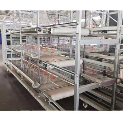 China Easily Install Type 3 Tier Automatic Broiler Cage System Battery Poultry for sale