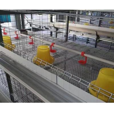 China Easily Install Automatic Poultry Farm Battery Broiler Cages For Kenya Farm for sale