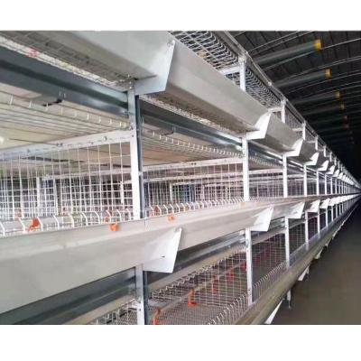 Κίνα Easily Install Automatic Battery Poultry Equipment Cages Galvanized Broiler Cage προς πώληση