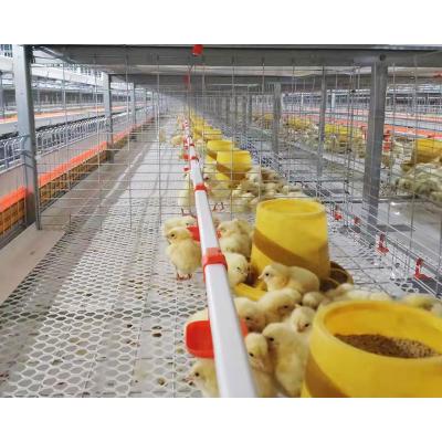 Κίνα Easily Install Chicken H Battery Poultry Farm Broiler Breeder Cages προς πώληση