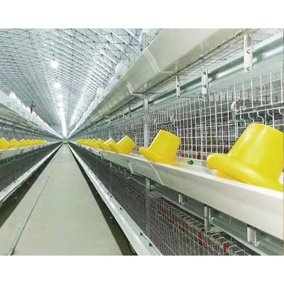 Κίνα Easily Install Fully Automated Chicken Battery Poultry Broiler Deep Cage προς πώληση