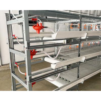 Κίνα Easily Install Automatic Poultry Battery Broiler Chicken Cage Sales In Cameroon προς πώληση