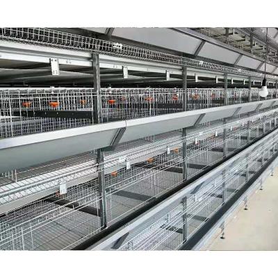 Κίνα Easily install 128 poultry chicken broiler battery cages for chicken προς πώληση