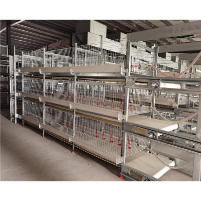 Κίνα Easily Install Type 3 Tier Automatic Broiler Poultry Electric Stack Cages For Poultry Chicken προς πώληση