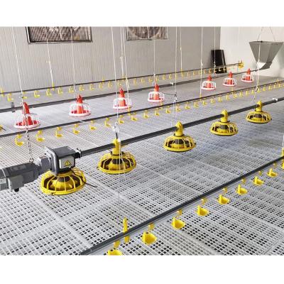 Κίνα Easily Install Poultry Equipment Chicken Farming Drinking Feeding Line Floor Broiler For Breeding προς πώληση