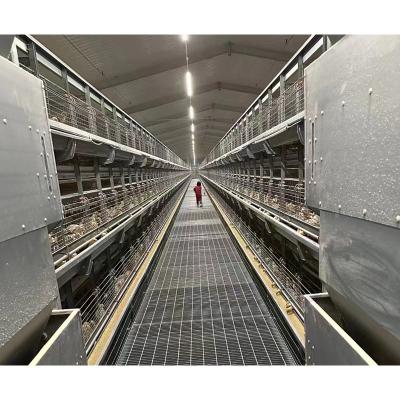 Κίνα Easily Install Hen Chicken Coop Farm Automatic Small Pullet Raising Cage προς πώληση