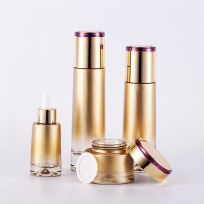 China Personal Care Cosmetic Top Grade 30g 50g 40ml 100ml 120ml Dropper Bottle Glass Bottle Set for sale