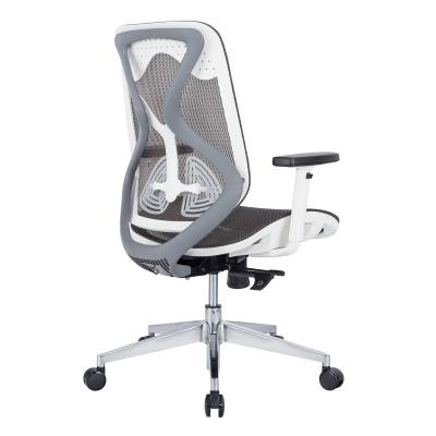 China Hot Selling Newcomers Mesh Office Chair For Sale Good Quality New Product Adjustable (Height) for sale