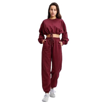 China High Quality Breathable Women Casual Causal Hooded Sports Wear Crop Top And Pants Sweatshirts Hoodies Tracksuit for sale