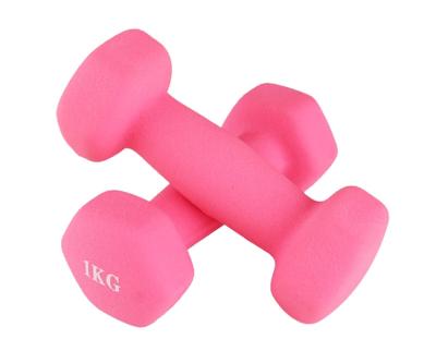 China Convenient high quality color and logo can be customized rubber hex dumbbell for sale