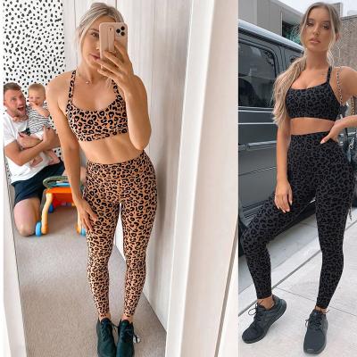 China Breathable Women's Elastic Sports Bra Leopard Print Yoga Leggings And Bra Set 2 Piece Yoga Set Gym Clothes zu verkaufen