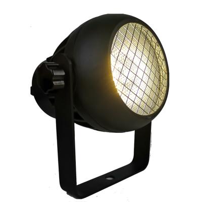 China Stage 50W COB WW/CW 2in1 led par light for stage event for sale