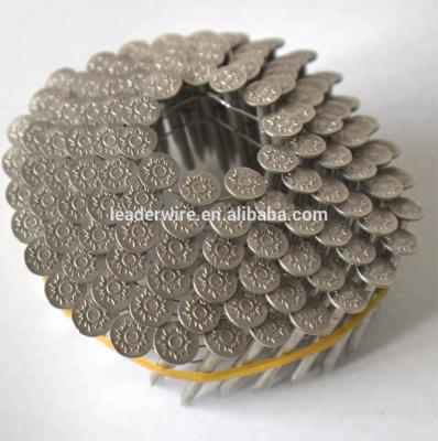 China SS304 Stainless Steel Roofing Coil Nails For Pneumatic Nail Gun for sale