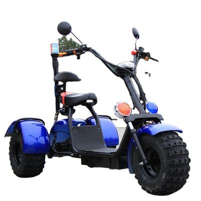 China Hot Sale Electric Passenger 3 Wheeler Scooter 1000w 60v Electric Motorcycle Scooter Halei Scooter for sale