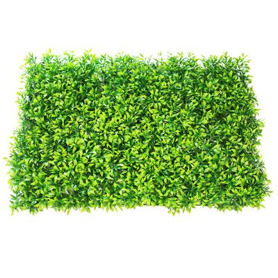 China Indor Decoration Price Pe Artificial Grass Wall Panels Fake Boxwood Hedge Cheap Green Grass Outdoor Wall Panels for sale