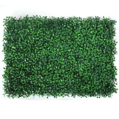 China Indor Decoration Best Selling Boxwood Panels Wall Panels Factory Outdoor Artificial Green Indoor Hanging Wall for sale