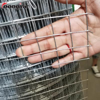 China China Factory Direct Anti-Corrosion Welded Mesh Hot Dip Galvanized 6mm Welded Wire Mesh Sheet Price for sale