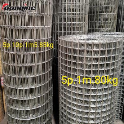 China Fence Mesh Cheap Price 100 X 100MM Electro Galvanized Welded Wire Mesh Panel For Construction for sale