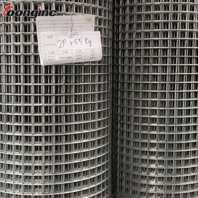 China Smooth and uniform welded mesh edge factory price ss316 stainless steel wire mesh fences for gardens for sale