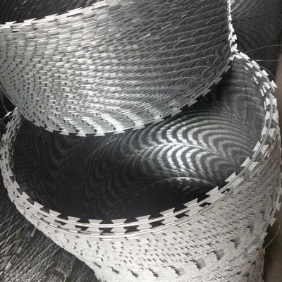 China New Design Great Protection Razor Wire Mesh Anti Climb Blade Barbed Wire Jail Fence for sale