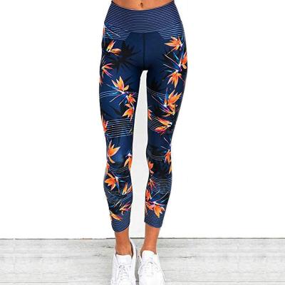 China Hot Sale Maple Style Fitness Custom Splicing Leggings Breathable For Lady for sale