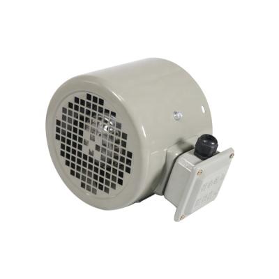 China Chinese Factory Servo Motor Fan Fanuc Adjustable Speed ​​Motor Fan Blade Shaped for sale