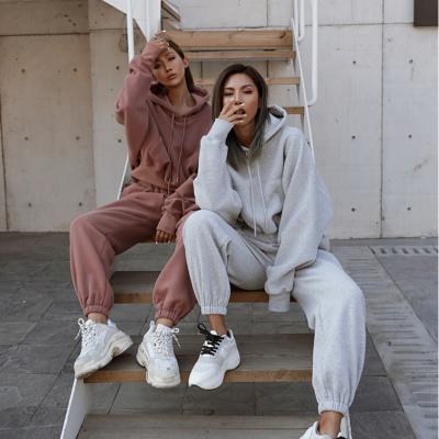 China New Autumn QUICK DRY Winter Women's Solid Color Cotton Hoodie Sports Casual Suit Women's Sets for sale