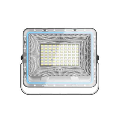 China LANDSCAPE Factory Price Daylight Solar Function LED Flood Light For Pathway for sale