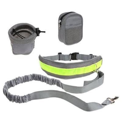 China Viable Products Reflective Hands Elastic Pet Dog Bungee Free Leash With Adjustable Restraint Belt, Phone Pouch Water Bottle Holder for sale