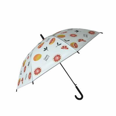 China All In 1 New Design 2020 Fashion Fruit Print Rain Umbrella Custom Photo Print for sale