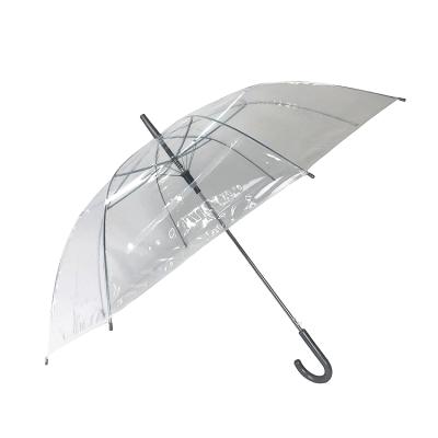 China All In 1 Large Size 25inch Full Clear Transparent POE Umbrella With Silver Gray Handle for sale